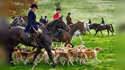 Bei der Hubertus-Reitjagd zeigen Pferd, Reiter und Hund ihr Können. (Foto: Andreas Rissel)