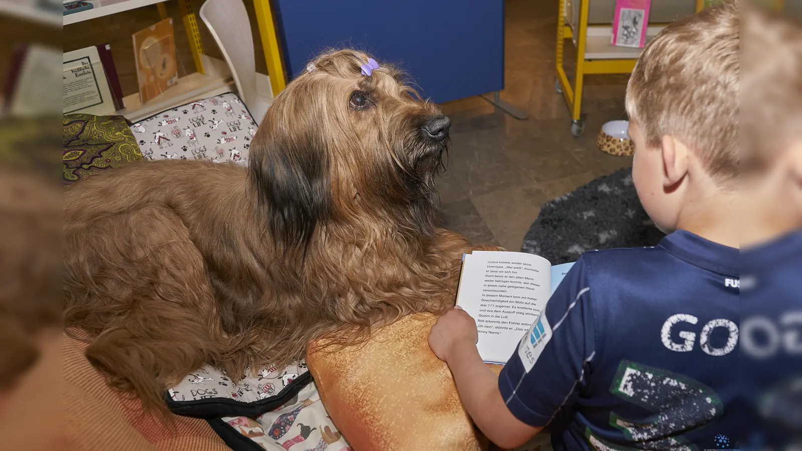 Gemütlich auf dem Sofa mit einem guten Buch: Briard-Hündin Monoqi ist eine geduldige Zuhörerin beim hundgestützten Lesen in der Stadtbücherei Hofgeismar. Sie geniesst dabei Streicheleinheiten und das eine oder anderen Leckerchen von den Kindern. (Foto: Stefan Bönning)