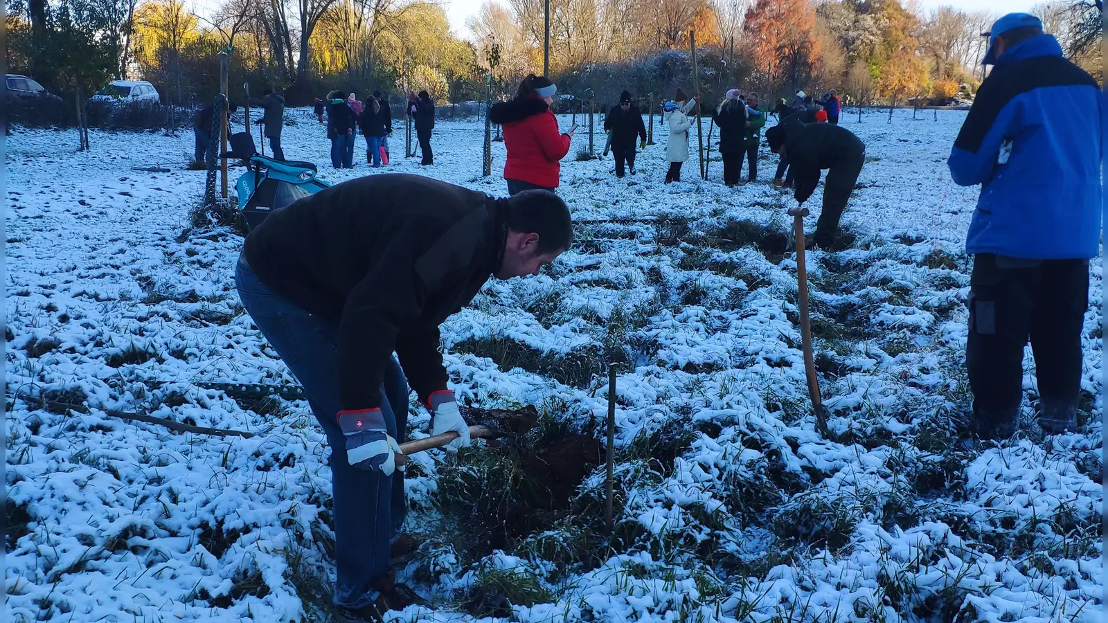 Baumplanzaktion auf der Babywiese in Eberschütz. (Foto: HGV Eberschütz)