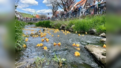 Entenrennen auf der Bever in Dalhausen. (Foto: Förderverein)