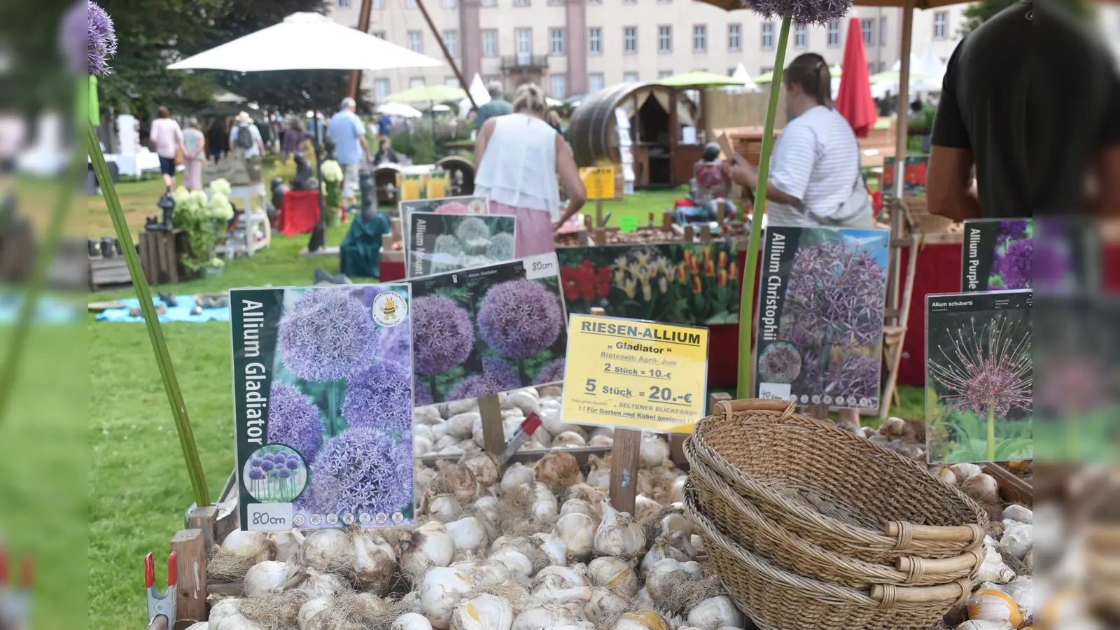 Blumenzwiebeln für die Herbstpflanzung wurden vor der Kulisse des Schlosses Corvey angeboten (Foto: Barbara Siebrecht)