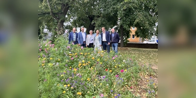 (v.l.) Jürgen Düster, Fachdienstleitung LandschaftspflegeLandkreis Kassel, Torben Busse, Bürgermeister von Hofgeismar, Vanessa Quiatkowski, Mitinitiatorin des Projektes, Dr. Julia Rosa-Schleich, Projektleiterin, Umweltdezernent Thomas Ackermann, und Martin Geldmacher, Fachbereichsleiter Landwirtschaft Landkreis Kassel. (Foto: Julia Sürder)