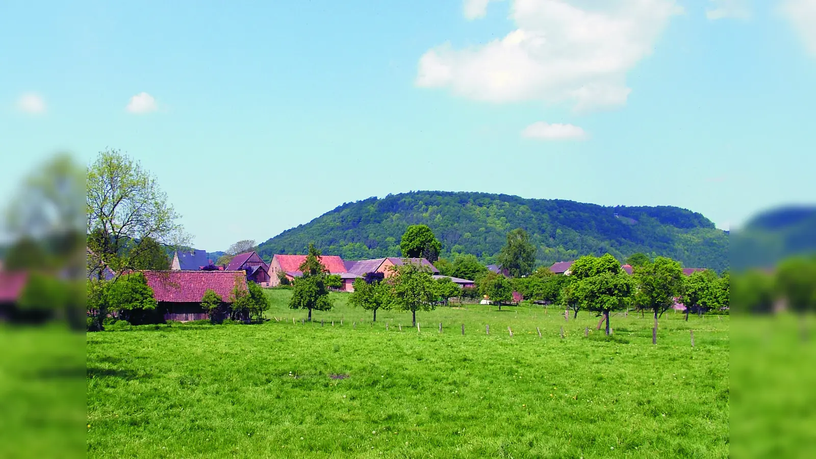 Der Brunsberg bei Godelheim. (Foto: Michael Koch)