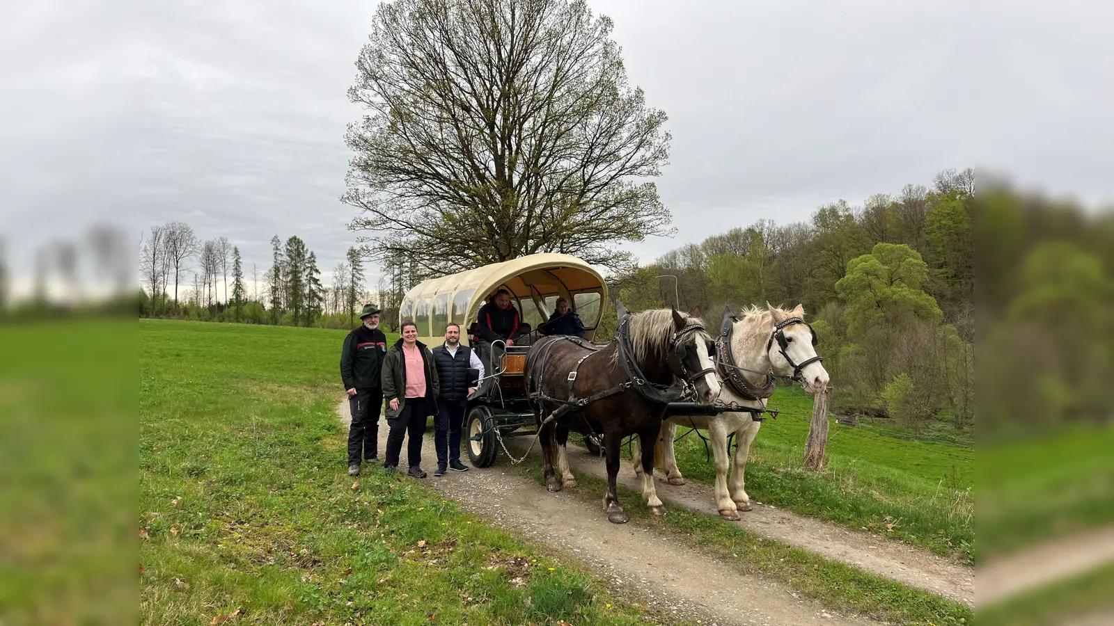 Holger Pflüger-Grone, Leiter Forstamt Reinhardshagen, Manuela Greipel, Geschäftsführerin Naturpark Reinhardswald, Manuel Zeich, Bürgermeister Trendelburg und auf der Kutsche Uwe Link  (Foto: Naturpark Reinhardswald)