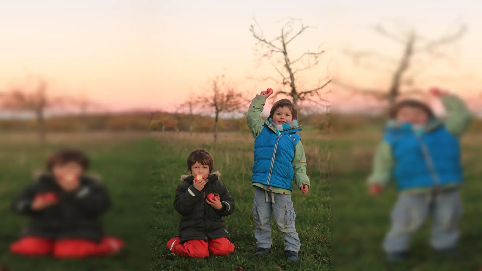 Für Kinder stellen Streuobstwiesen einen ausgezeichneten Lern- und Erlebnisort dar. Um dies zu vermitteln, bietet das Bildungshaus Modexen einen Fortbildungskurs an. (Foto: Jennifer Adam)