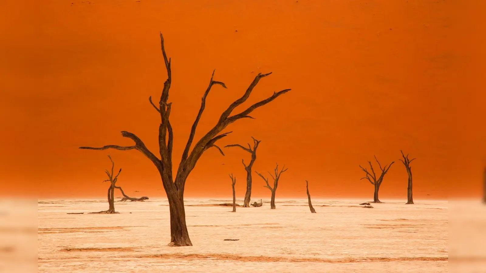 Namibia gilt als das trockenste Land südlich der Sahara. Spannende Einblicke warten. (Foto: privat)