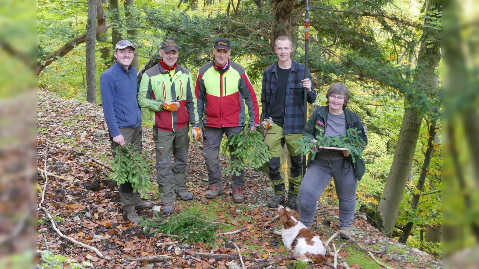 Bei goldenem Herbstwetter zufrieden mit dem Eibenschatz (v.l.): Xaver Oettl (Forstpraktikant), Ingo Hamm und Dietmar Figura (Team Forstgenetik), Dominik Mütze (Praktikant), Försterin Friederike Wolff (Regionalforstamt Hochstift) mit Hündin Ora.  (Foto: Stefan Befeld/Wald und Holz NRW)