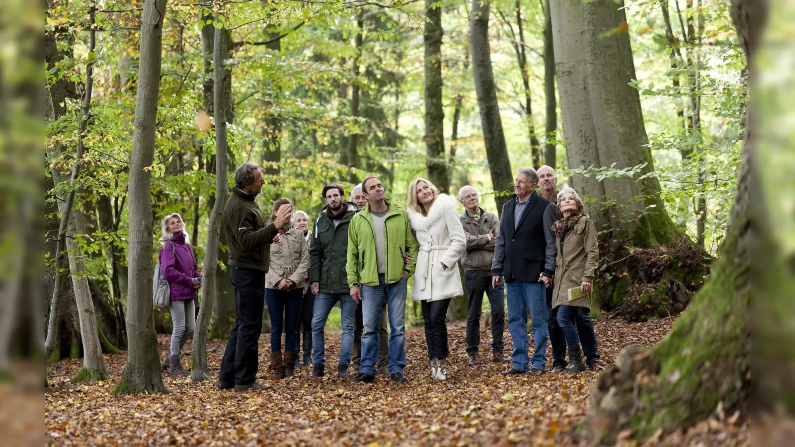 Bei einer Führung können Interessierte den FriedWald Reinhardswald kennenlernen. (Foto: FriedWald GmbH)